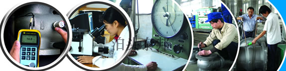 DMC脈沖倉頂布袋除塵器